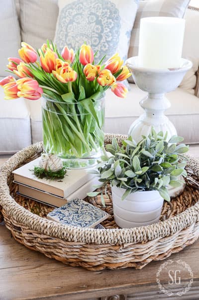 basket-decorative-tray-tulips-plant