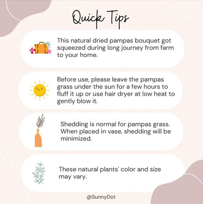 how-to-deal-with-pampas-grass