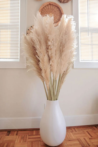 tall-pampas-grass-in-white-vase