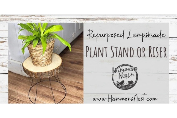 plant-on-a-plant-stand